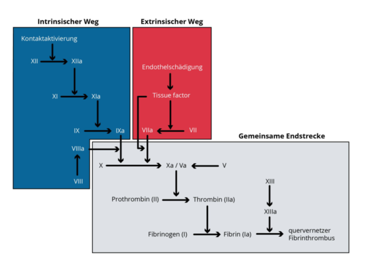 definition-ursache